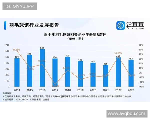 深圳羽毛球队在锦标赛中的技术表现分析与总结