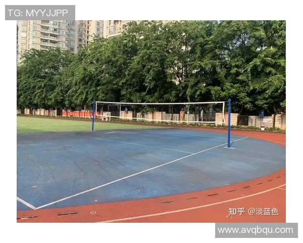 深圳排球队实力分析与表现评估的全面研究与探讨 深圳排球队实力分析与表现评估的全面研究与探讨